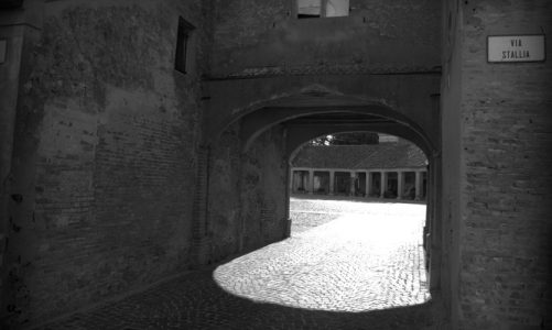 Esplorando le location cinematografiche di Mesola