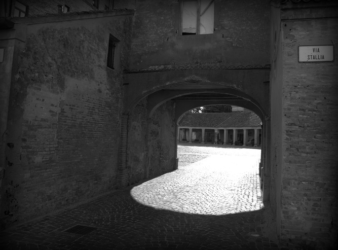 Esplorando le location cinematografiche di Mesola
