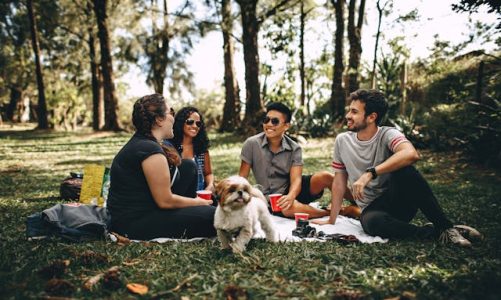 5 incantevoli luoghi per un picnic nella natura vicino a Mesola