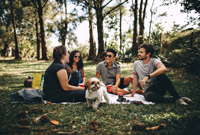 5 incantevoli luoghi per un picnic nella natura vicino a Mesola